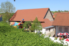 Vereinsfest-2016-039