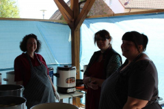 Vereinsfest-2016-065