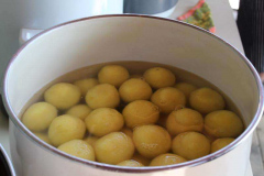 Vereinsfest-2016-066